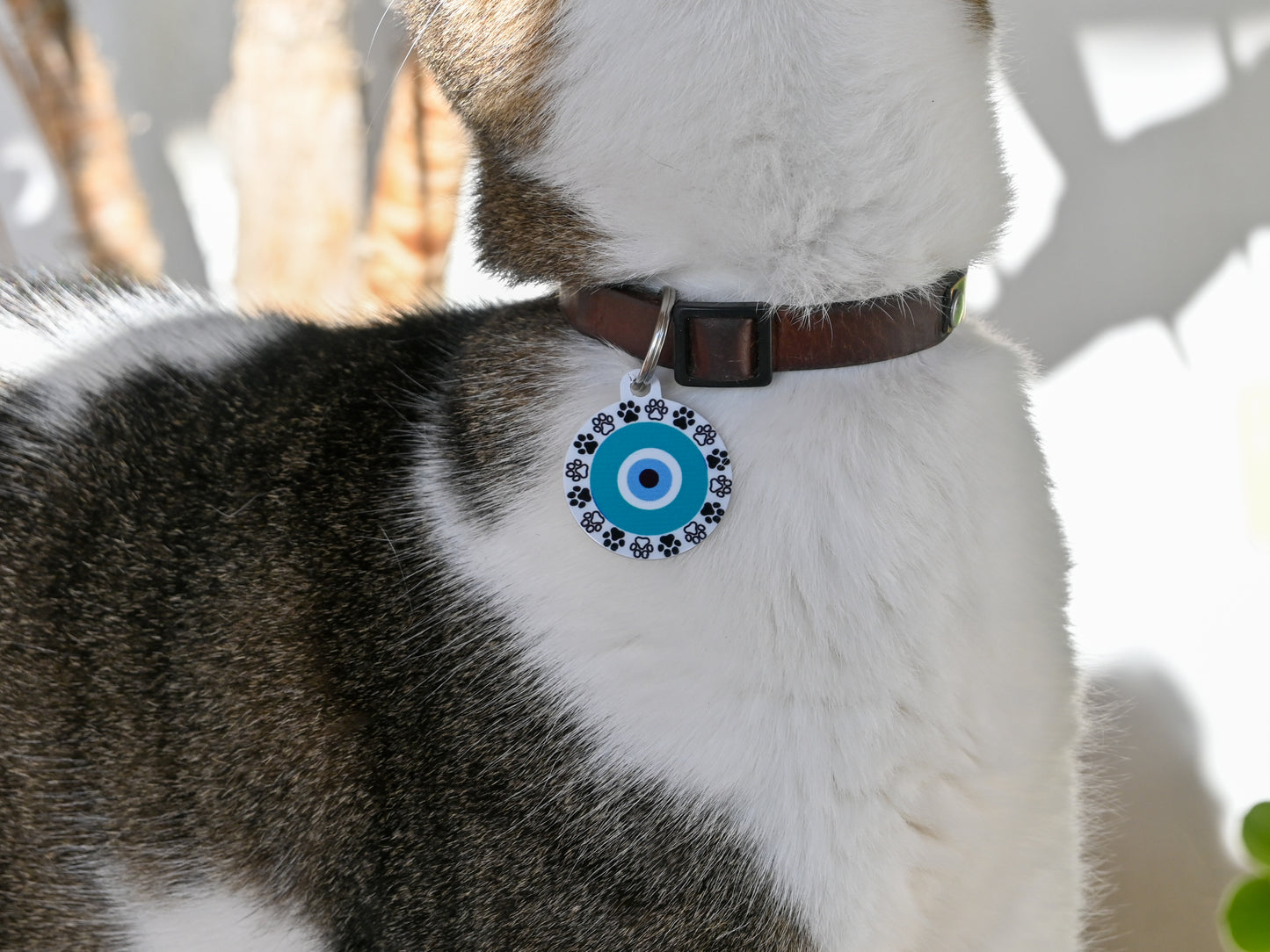Personalized Evil Eye Dog Tag - Small Medium Dog Tag - Available in 6 Colors
