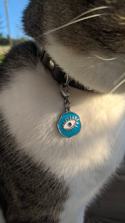 Pendentif Oeil pour Chien ou Chat - Porte Bonheur