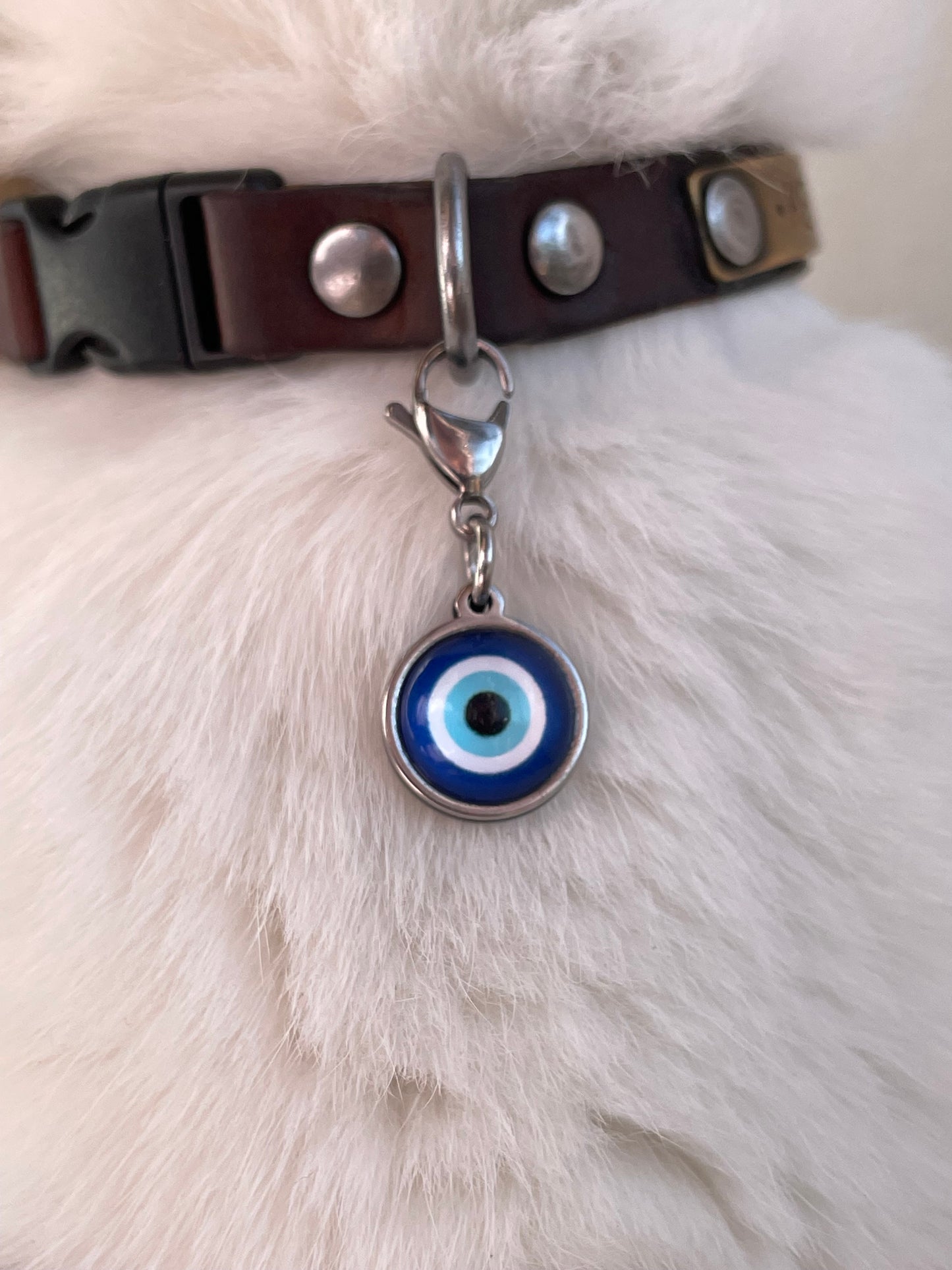 Pendentif Oeil Bleu pour Chat ou Chien