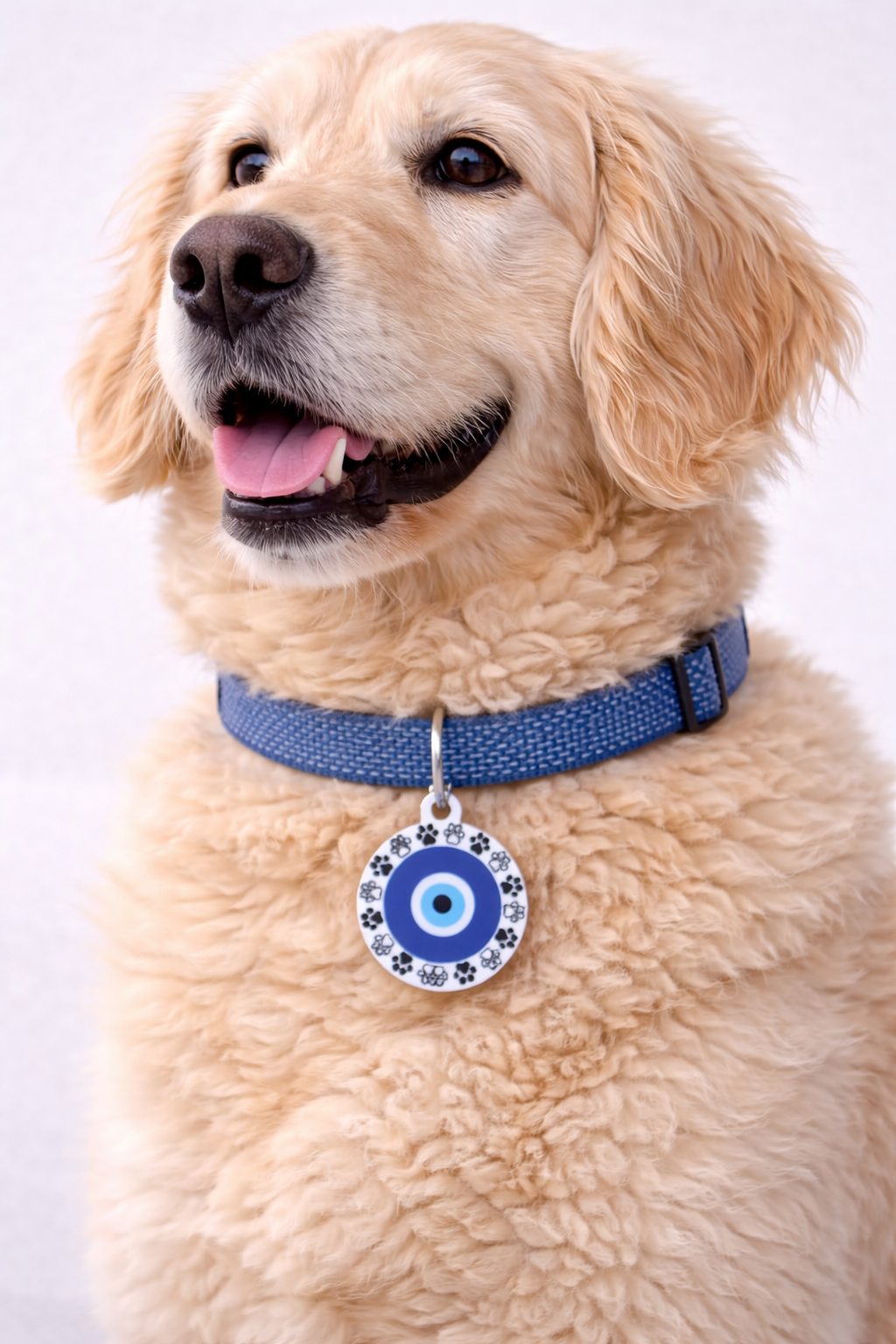 Personalized Evil Eye Dog Tag – Custom Pet ID Charm with Name & Phone