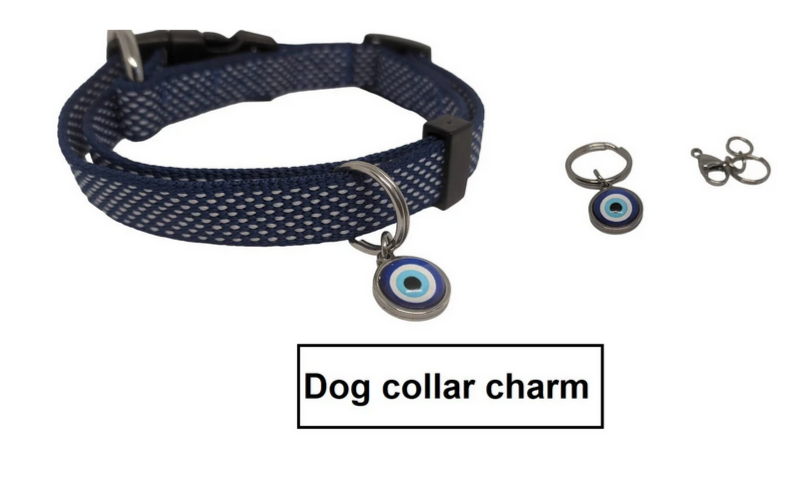 Dog collar with a charm on a white background