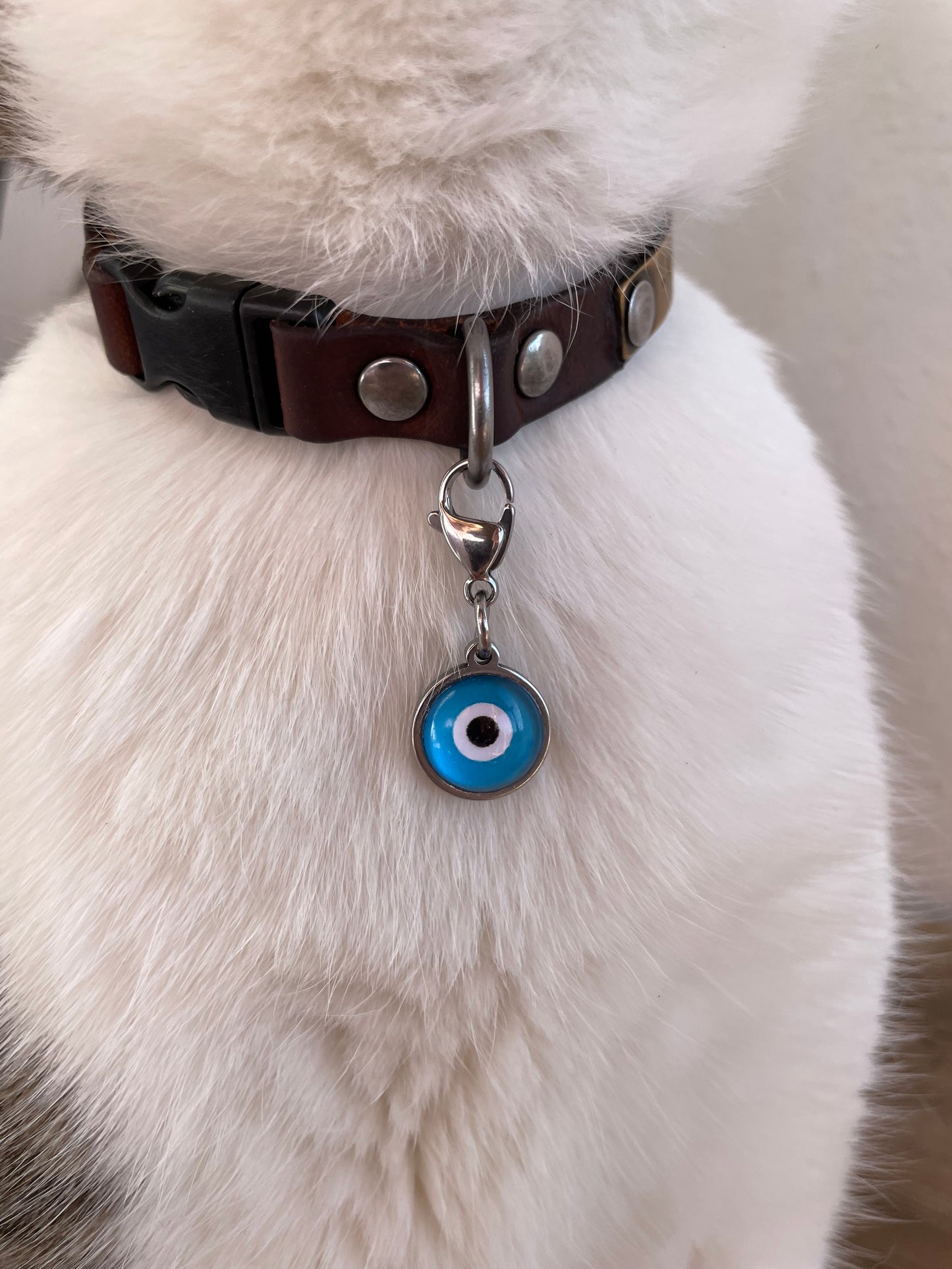 Pendentif Oeil Bleu pour Chat ou Chien