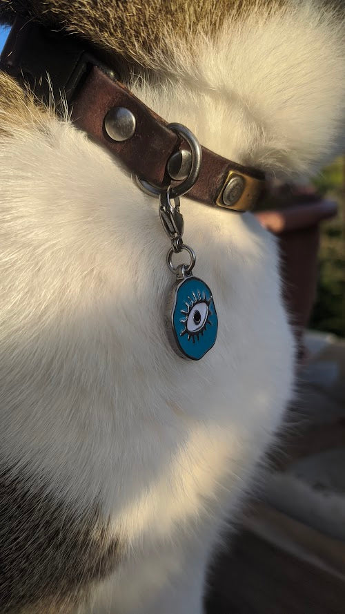 Pendentif Oeil pour Chien ou Chat - Porte Bonheur