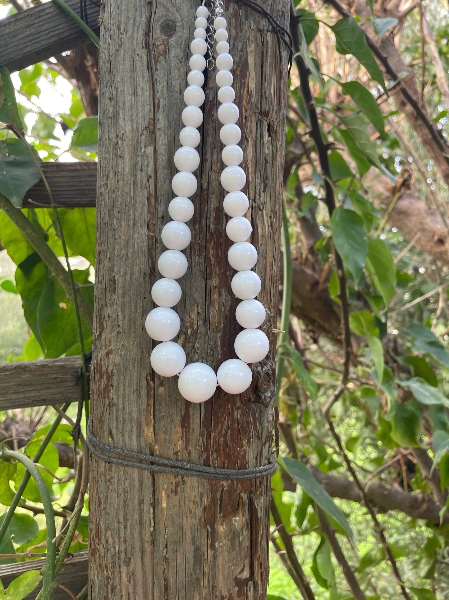 White beads on a wooden log with a natural background of leaves and branches