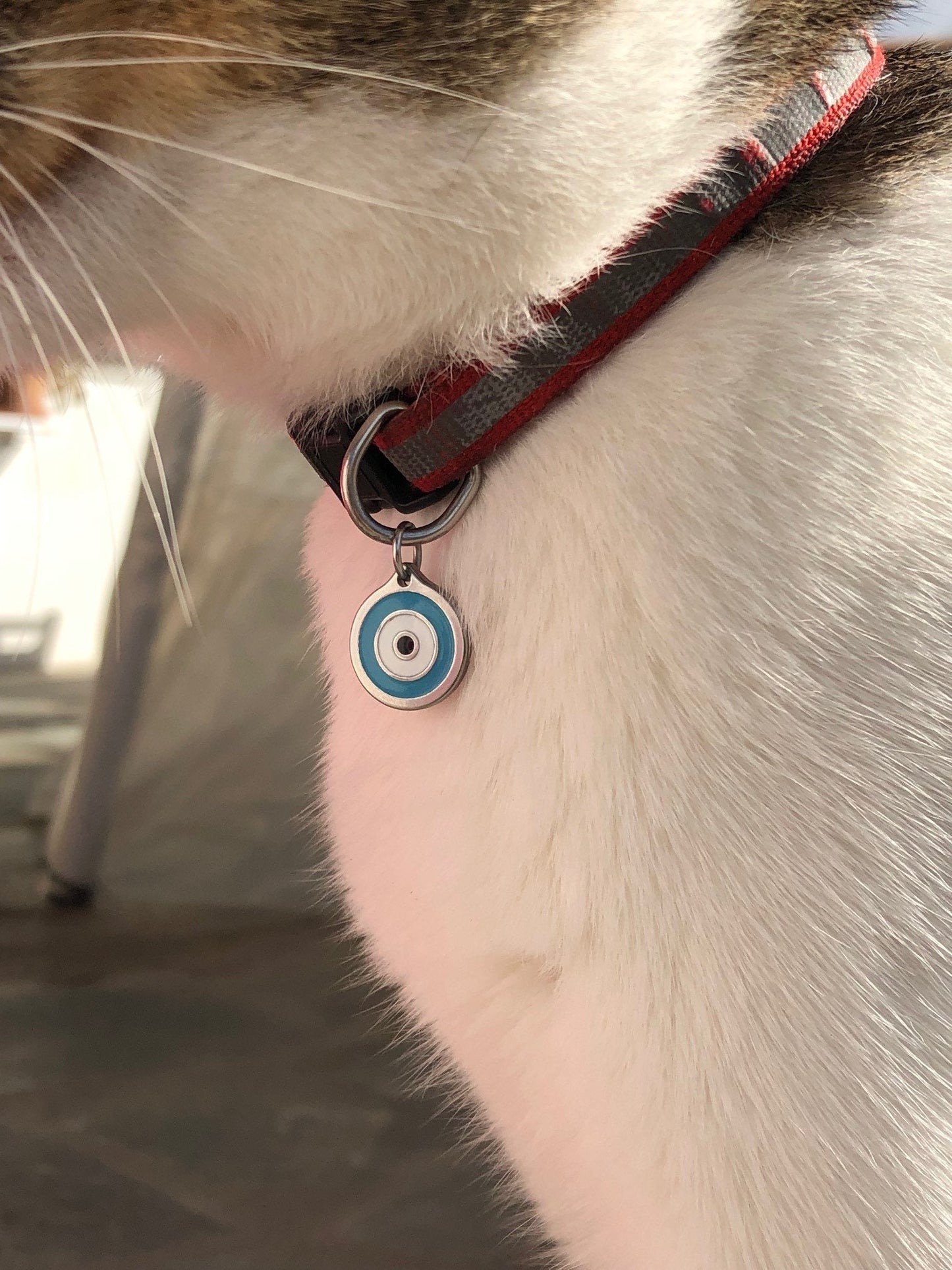 Medaillon Oeil Bleu Chat ou Chien - Protection
