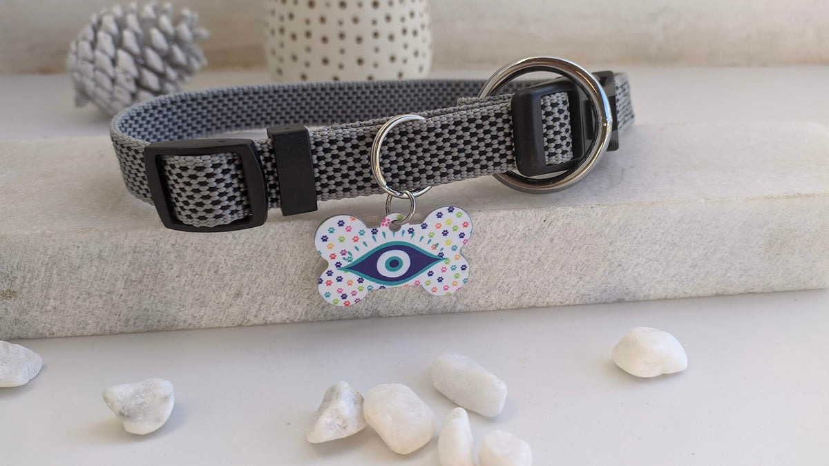 Medaillon Os Oeil Bleu Pour Chien 