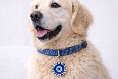 Personalized Evil Eye Dog Tag – Custom Pet ID Charm with Name & Phone