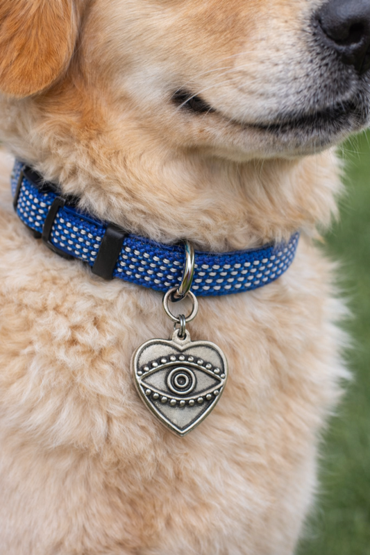 Dog wearing a blue collar with a heart-shaped tag featuring an eye design.