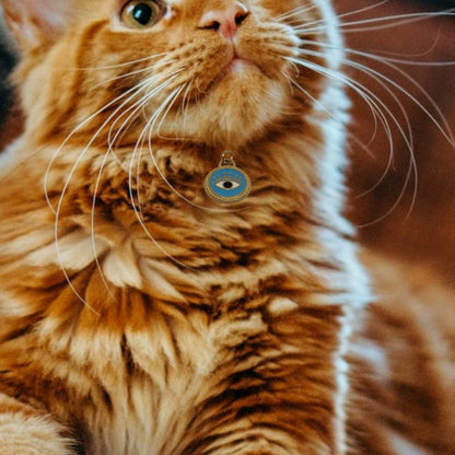 Pendentif Oeil pour Chat ou Chien