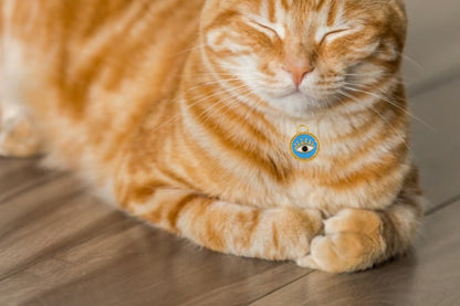 Pendentif Oeil pour Chat ou Chien