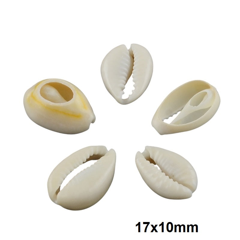 Five small shell beads on a white background with '17x10mm' text.