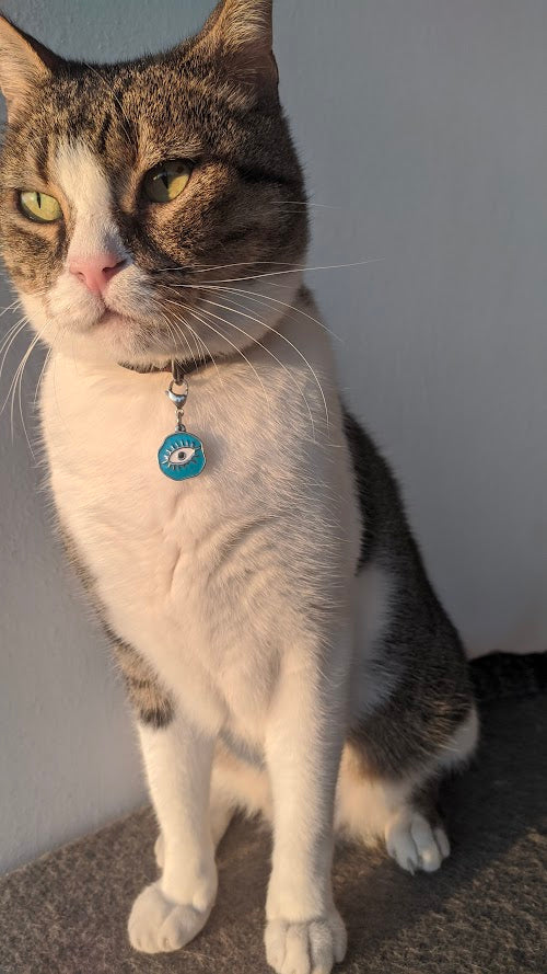 Pendentif Oeil pour Chien ou Chat - Porte Bonheur